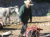 Mule drover