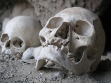 Skulls in ruin by campsite
