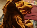 Blanketed monks at Karsha gompa